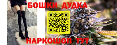 дмт Новодвинск