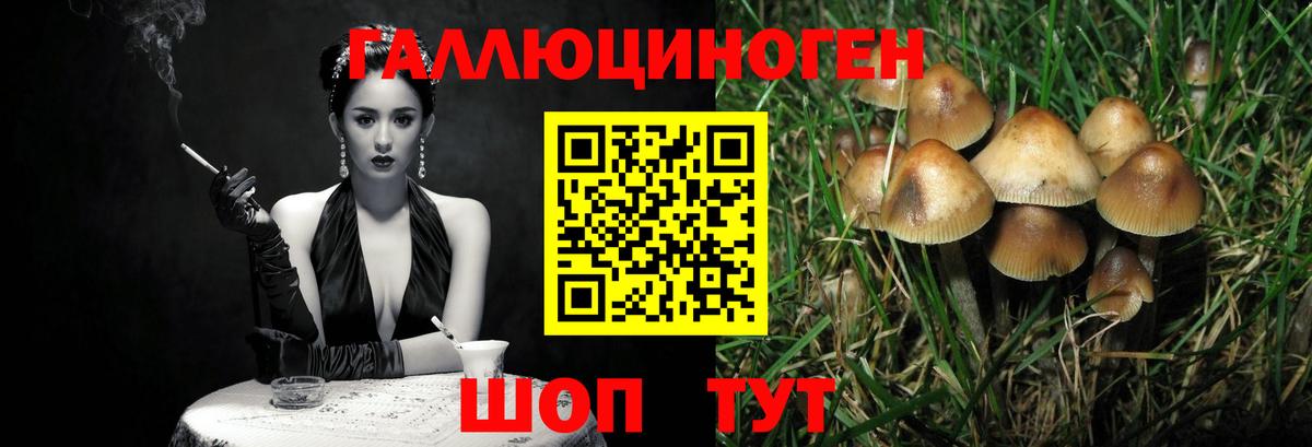 Северск  Галлюциногенные грибы мухоморы  Вход с VPN  Псилоцибиновые грибы Magic Shrooms 