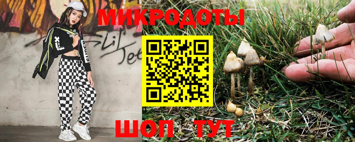 Галлюциногенные грибы Magic Shrooms Северск